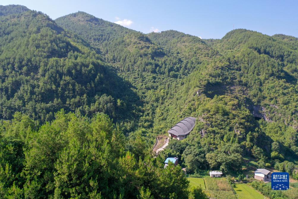送分捕鱼可下分